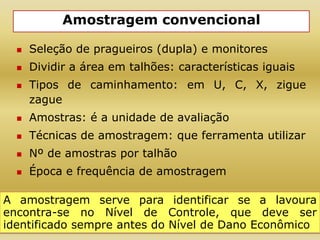 Amostragem convencional
 Seleção de pragueiros (dupla) e monitores
 Dividir a área em talhões: características iguais
 Tipos de caminhamento: em U, C, X, zigue
zague
 Amostras: é a unidade de avaliação
 Técnicas de amostragem: que ferramenta utilizar
 Nº de amostras por talhão
 Época e frequência de amostragem
A amostragem serve para identificar se a lavoura
encontra-se no Nível de Controle, que deve ser
identificado sempre antes do Nível de Dano Econômico
 