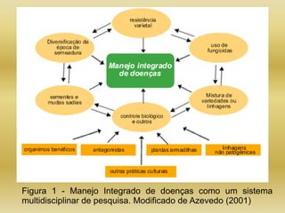 Figura 1 - Manejo Integrado de doenças como um sistema
multidisciplinar de pesquisa. Modificado de Azevedo (2001)
 