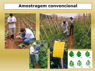 Amostragem convencional
 