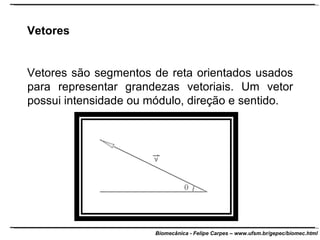 Vetores Vetores são segmentos de reta orientados usados para representar grandezas vetoriais. Um vetor possui intensidade ou módulo, direção e sentido. 