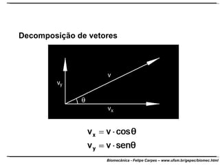 Decomposição de vetores 