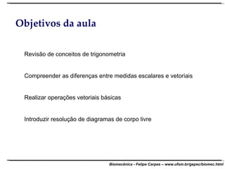 Objetivos da aula Revisão de conceitos de trigonometria Compreender as diferenças entre medidas escalares e vetoriais Realizar operações vetoriais básicas Introduzir resolução de diagramas de corpo livre 