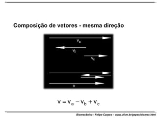 Composição de vetores - mesma direção 
