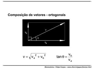 Composição de vetores - ortogonais 