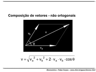 Composição de vetores - não ortogonais 