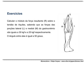 Exercícios Calcular o módulo da força resultante (R) sobre o tendão de Aquiles, sabendo que as forças das porções lateral (L) e medial (M) do gastrocnêmio são iguais a 30 kgf e a 25 kgf respectivamente. O ângulo entre elas é igual a 50 graus. 