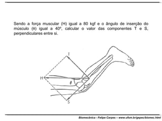 Sendo a força muscular (H) igual a 80 kgf e o ângulo de inserção do músculo (  ) igual a 40º, calcular o valor das componentes T e S, perpendiculares entre si. 