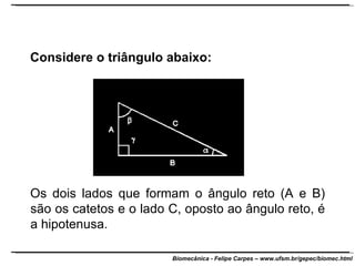 Considere o triângulo abaixo:  Os dois lados que formam o ângulo reto (A e B) são os catetos e o lado C, oposto ao ângulo reto, é a hipotenusa. 