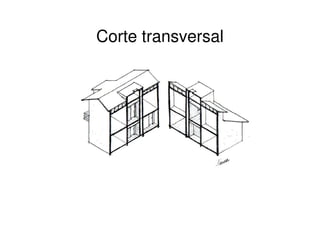 Corte transversal
 