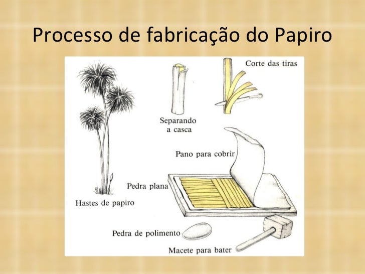 Imagem relacionada