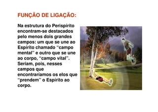 FUNÇÃO DE LIGAÇÃO:FUNÇÃO DE LIGAÇÃO:
Na estrutura do Perispírito
encontram-se destacados
pelo menos dois grandes
campos: um que se une ao
Espírito chamado “campo
mental” e outro que se une
ao corpo, “campo vital”.ao corpo, “campo vital”.
Seriam, pois, nesses
campos que
encontraríamos os elos que
“prendem” o Espírito ao
corpo.
 