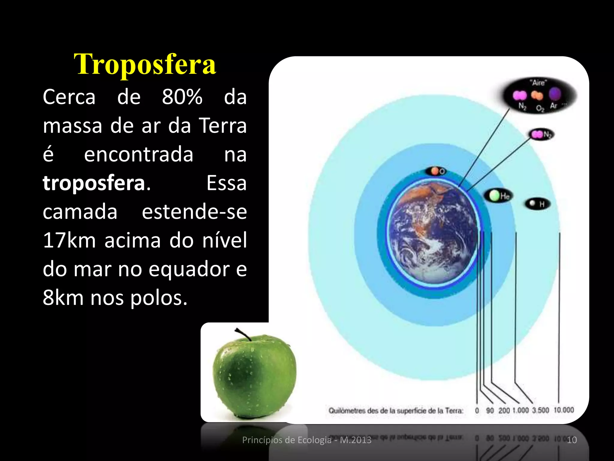 10Princípios de Ecologia - M.2013
Troposfera
Cerca de 80% da
massa de ar da Terra
é encontrada na
troposfera. Essa
camada estende-se
17km acima do nível
do mar no equador e
8km nos polos.
 