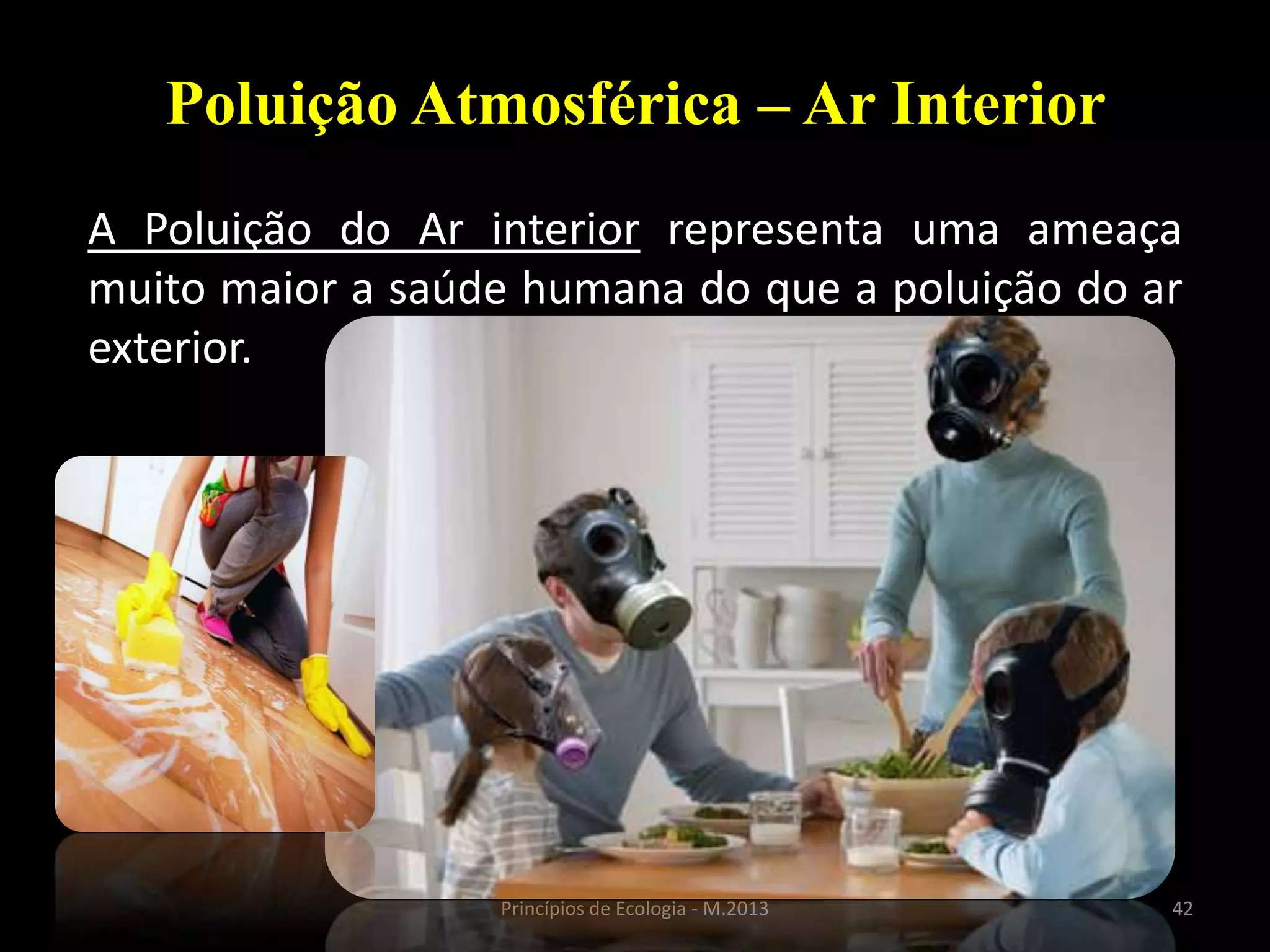 42Princípios de Ecologia - M.2013
Poluição Atmosférica – Ar Interior
A Poluição do Ar interior representa uma ameaça
muito maior a saúde humana do que a poluição do ar
exterior.
 