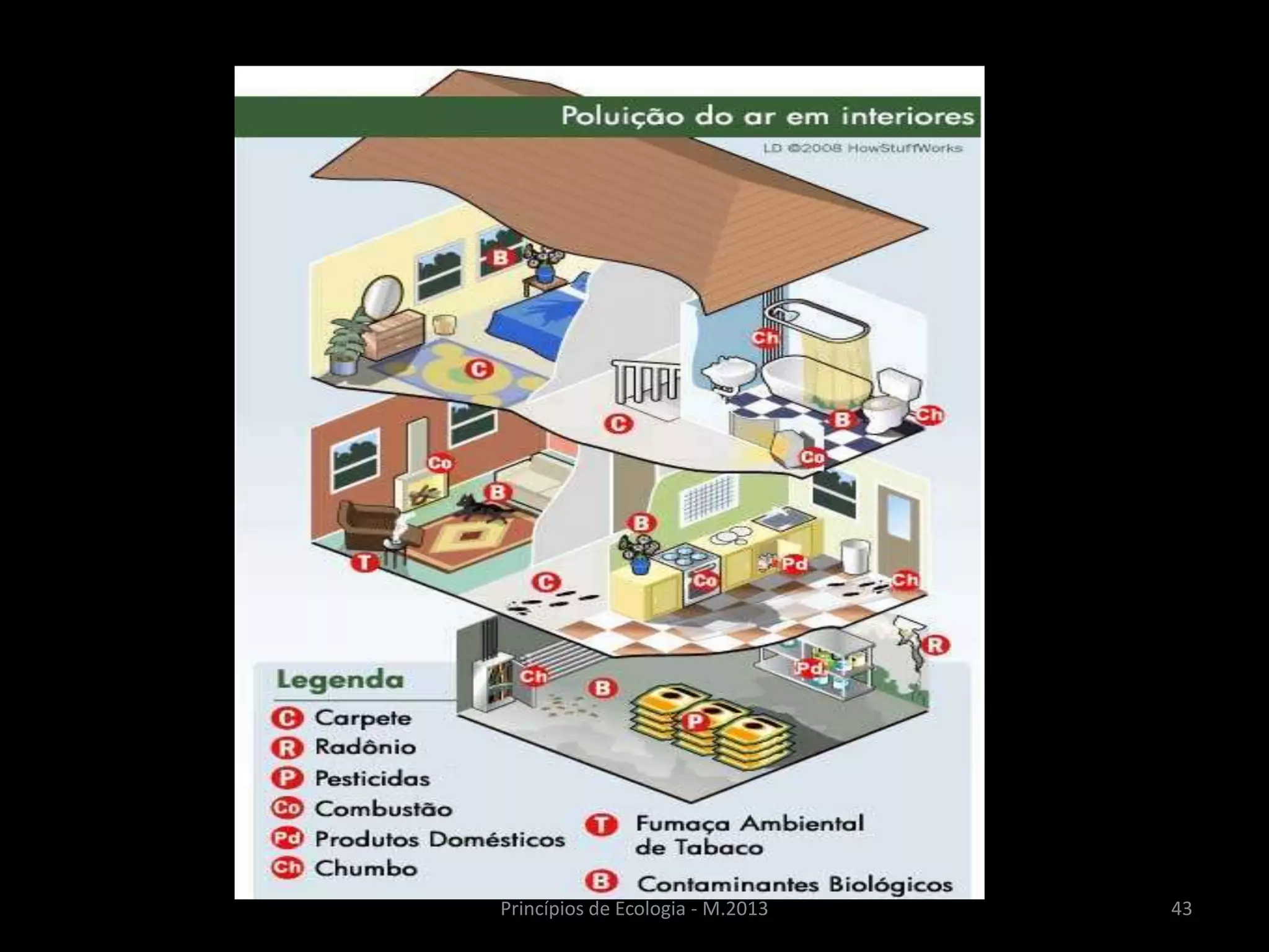 43Princípios de Ecologia - M.2013
 
