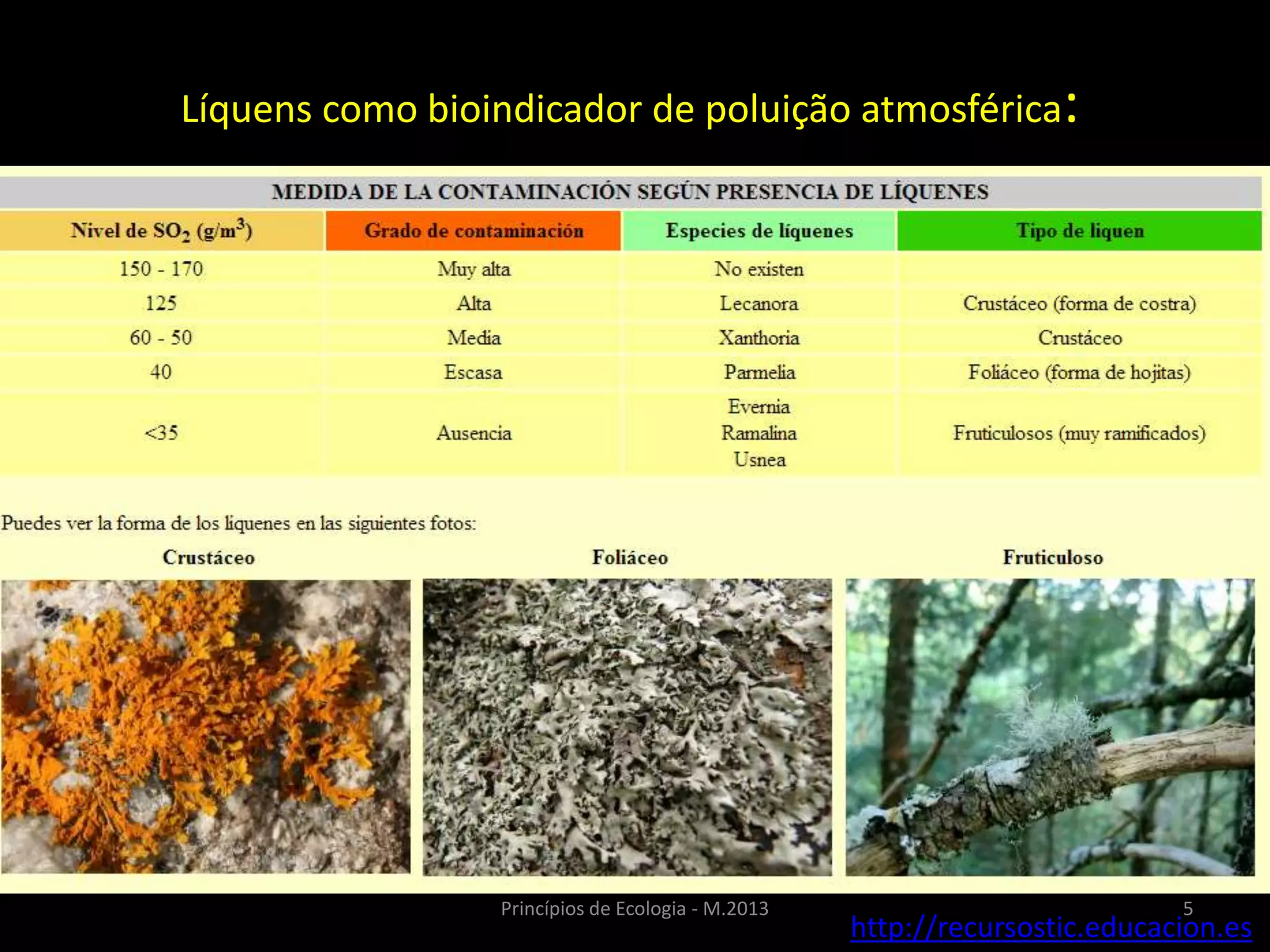 5Princípios de Ecologia - M.2013
Líquens como bioindicador de poluição atmosférica:
1) Liquens - Indicadores Biológicos
Alaranjados (poluição moderada)
Frondosos (lugares limpos)
(Usnea trichodea), (Evernia)
Adoecem na presença do dióxido de enxofre
http://recursostic.educacion.es
 