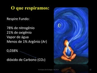 12Princípios de Ecologia - M.2013
O que respiramos:
Respire Fundo:
78% de nitrogênio
21% de oxigênio
Vapor de água
Menos de 1% Argônio (Ar)
0,038%
dióxido de Carbono (CO2)
 