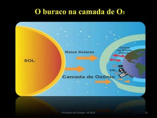 16Princípios de Ecologia - M.2013
O buraco na camada de O3
 