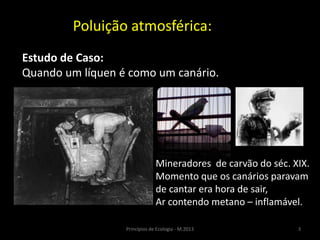 3Princípios de Ecologia - M.2013
Poluição atmosférica:
Estudo de Caso:
Quando um líquen é como um canário.
Mineradores de carvão do séc. XIX.
Momento que os canários paravam
de cantar era hora de sair,
Ar contendo metano – inflamável.
 