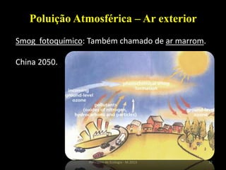 32Princípios de Ecologia - M.2013
Poluição Atmosférica – Ar exterior
Smog fotoquímico: Também chamado de ar marrom.
China 2050.
 
