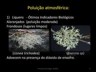 4Princípios de Ecologia - M.2013
Poluição atmosférica:
1) Liquens - Ótimos Indicadores Biológicos
Alaranjados (poluição moderada)
Frondosos (lugares limpos)
(Usnea trichodea) (Evernia sp)
Adoecem na presença do dióxido de enxofre.
 