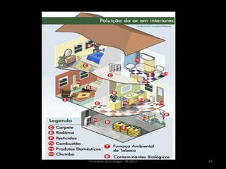 43Princípios de Ecologia - M.2013
 