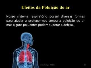 44Princípios de Ecologia - M.2013
Efeitos da Poluição do ar
Nosso sistema respiratório possui diversas formas
para ajudar a proteger-nos contra a poluição do ar
mas alguns poluentes podem superar a defesa.
 