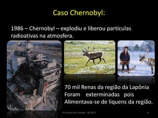 6Princípios de Ecologia - M.2013
Caso Chernobyl:
1986 – Chernobyl – explodiu e liberou partículas
radioativas na atmosfera.
70 mil Renas da região da Lapônia
Foram exterminadas pois
Alimentava-se de liquens da região.
 