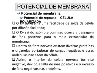 POTENCIAL DE MEMBRANA
 Potencial de membrana
 Potencial de repouso – CÉLULA
POLARIZADA
 O K+ apresenta uma facilidade de saída da célula
por difusão facilitada;
 O K+ sai do axônio e com isso ocorre a passagem
de íons positivos para o meio extracelular da
membrana.
 Dentro da fibra nervosa existem diversas proteínas
e organelas portadoras de cargas negativas e essas
moléculas não saem da célula.
 Assim, o interior da célula nervosa torna-se
negativo, devido a falta de íons positivos e o excesso
de íons negativos nas proteínas.
 
