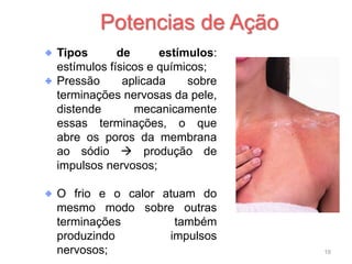 Tipos de estímulos:
estímulos físicos e químicos;
Pressão aplicada sobre
terminações nervosas da pele,
distende mecanicamente
essas terminações, o que
abre os poros da membrana
ao sódio  produção de
impulsos nervosos;
O frio e o calor atuam do
mesmo modo sobre outras
terminações também
produzindo impulsos
nervosos;
Potencias de Ação
19
 