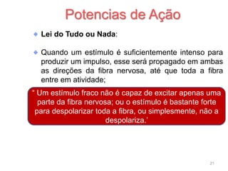 Lei do Tudo ou Nada:
Quando um estímulo é suficientemente intenso para
produzir um impulso, esse será propagado em ambas
as direções da fibra nervosa, até que toda a fibra
entre em atividade;
Potencias de Ação
21
“ Um estímulo fraco não é capaz de excitar apenas uma
parte da fibra nervosa; ou o estímulo é bastante forte
para despolarizar toda a fibra, ou simplesmente, não a
despolariza.’
 