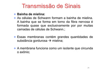 26
Transmissão de Sinais
Bainha de mielina:
As células de Schwann formam a bainha de mielina.
A bainha que se forma em torno da fibra nervosa é
formada quase que exclusivamente por por muitas
camadas de células de Schwann.;
Essas membranas contém grandes quantidades de
substância gordurosa  mielina;
A membrana funciona como um isolante que circunda
o axônio;
 