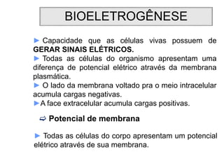 BIOELETROGÊNESE
 Potencial de membrana
► Todas as células do corpo apresentam um potencial
elétrico através de sua membrana.
► Capacidade que as células vivas possuem de
GERAR SINAIS ELÉTRICOS.
► Todas as células do organismo apresentam uma
diferença de potencial elétrico através da membrana
plasmática.
► O lado da membrana voltado pra o meio intracelular
acumula cargas negativas.
►A face extracelular acumula cargas positivas.
 