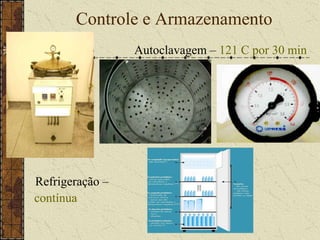 Sólido: (MSA - Manitol SaltÁgar, AS – Ágar Sangue)Quanto à FunçãoEnriquecedor :(BHI, AS)