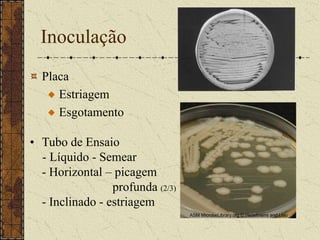 Cloreto e Fosfato de Sódio