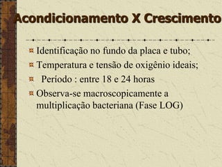 Água destilada MC-MacConkey – meio seletivo e sólido em placaSais biliares