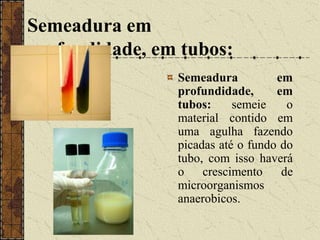 Água destiladaRecomendaçõesEvitar usar meios vencidosNão usar meios prontos ressecados.Recomenda-se o uso de tubos com tampa de rosca, pois evitam o ressecamento rápido do meioTodos os meios confeccionados devem ser devidamente identificados com o nome, data de fabricação, data de validade e tipo de armazenamento.Todos os meios de placa devem ser embalados em filme plástico PVC transparente
