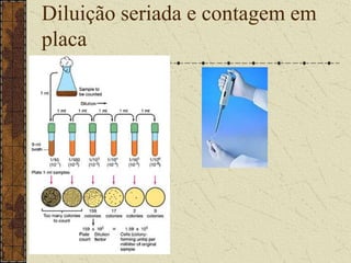    		Controle e Armazenamento                     		 Autoclavagem – 121 C por 30 min		Refrigeração –           contínua