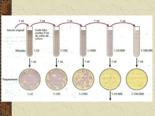 Armazenamento dos MeiosInicialmente devem ser guardados na geladeira dentro de plásticos para evitar a desidratação;Os tubos isolados com rolhas e alumínio na geladeira;Após a inoculação deve ser incubado em estufa a temperatura ambiente;Identificação do conteúdo, data de preparação e vencimento.