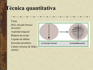 Crescimento Bacteriano  Depende de:Exigências NutritivasExigências Inerentes