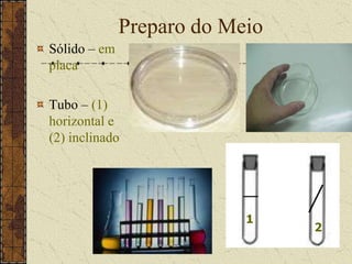 Preparo do MeioSólido – em placaTubo – (1)horizontal e (2) inclinado 12