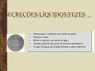 Crescimento BacterianoCrescimentoFase EstacionáriaLOGDeclínioLAGTempoLag = Latência    Log = Exponencial    Estacionária = Stop     Declínio = Decaímento por competição