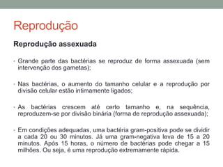 Reprodução
Reprodução assexuada
• Grande parte das bactérias se reproduz de forma assexuada (sem
intervenção dos gametas);
• Nas bactérias, o aumento do tamanho celular e a reprodução por
divisão celular estão intimamente ligados;
• As bactérias crescem até certo tamanho e, na sequência,
reproduzem-se por divisão binária (forma de reprodução assexuada);
• Em condições adequadas, uma bactéria gram-positiva pode se dividir
a cada 20 ou 30 minutos. Já uma gram-negativa leva de 15 a 20
minutos. Após 15 horas, o número de bactérias pode chegar a 15
milhões. Ou seja, é uma reprodução extremamente rápida.
 