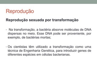 Reprodução
Reprodução sexuada por transformação
• Na transformação, a bactéria absorve moléculas de DNA
dispersas no meio. Esse DNA pode ser proveniente, por
exemplo, de bactérias mortas;
• Os cientistas têm utilizado a transformação como uma
técnica de Engenharia Genética, para introduzir genes de
diferentes espécies em células bacterianas.
 