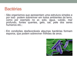 Bactérias
• São organismos que apresentam uma estrutura simples e
por isso podem sobreviver em todos ambientes da terra,
como por exemplo no ar, solo, água, vulcão, mar
profundo, fontes quentes, gelo, sal, pele dos seres
humanos etc.;
• Em condições desfavoráveis algumas bactérias formam
esporos, que podem sobreviver milhões de anos.
 