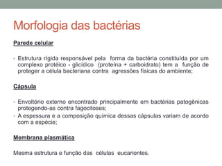 Morfologia das bactérias
Parede celular
• Estrutura rígida responsável pela forma da bactéria constituída por um
complexo protéico - glicídico (proteína + carboidrato) tem a função de
proteger a célula bacteriana contra agressões físicas do ambiente;
Cápsula
• Envoltório externo encontrado principalmente em bactérias patogênicas
protegendo-as contra fagocitoses;
• A espessura e a composição química dessas cápsulas variam de acordo
com a espécie;
Membrana plasmática
Mesma estrutura e função das células eucariontes.
 