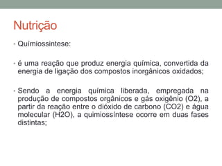 Nutrição
• Químiossintese:
• é uma reação que produz energia química, convertida da
energia de ligação dos compostos inorgânicos oxidados;
• Sendo a energia química liberada, empregada na
produção de compostos orgânicos e gás oxigênio (O2), a
partir da reação entre o dióxido de carbono (CO2) e água
molecular (H2O), a quimiossíntese ocorre em duas fases
distintas;
 
