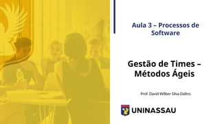Aula 3 – Processos de
Software
Gestão de Times –
Métodos Ágeis
Prof. David Wilber Silva Daltro
 
