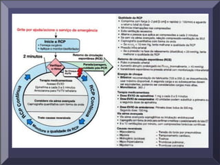 Aula 3   rcp e dea[1]
