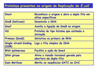 Proteínas presentes na origem de Replicação de  E.coli DnaA Reconhece a origem e abre a dupla fita em sítios específicos DnaB (helicase) Desenrola o DNA DnaC Auxilia a ligação de DnaB na origem HU Proteína do tipo histona que estimula a iniciação Primase (DnaG) Sintetiza os primers de RNA Single strand binding (SSB) Liga a fita simples de DNA RNA polimerase Facilita a ação da DnaA DNA girase Alivia a tensão torsional gerada pela abertura da dupla-fita Dam Metilase Metila as sequências GATC na OriC 