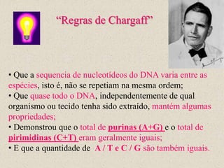 “Regras de Chargaff”



• Que a sequencia de nucleotídeos do DNA varia entre as
espécies, isto é, não se repetiam na mesma ordem;
• Que quase todo o DNA, independentemente de qual
organismo ou tecido tenha sido extraído, mantém algumas
propriedades;
• Demonstrou que o total de purinas (A+G) e o total de
pirimidinas (C+T) eram geralmente iguais;
• E que a quantidade de A / T e C / G são também iguais.
 